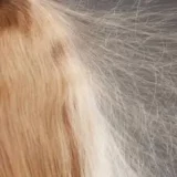 冬場の静電気で髪の毛が爆発する原因と対策